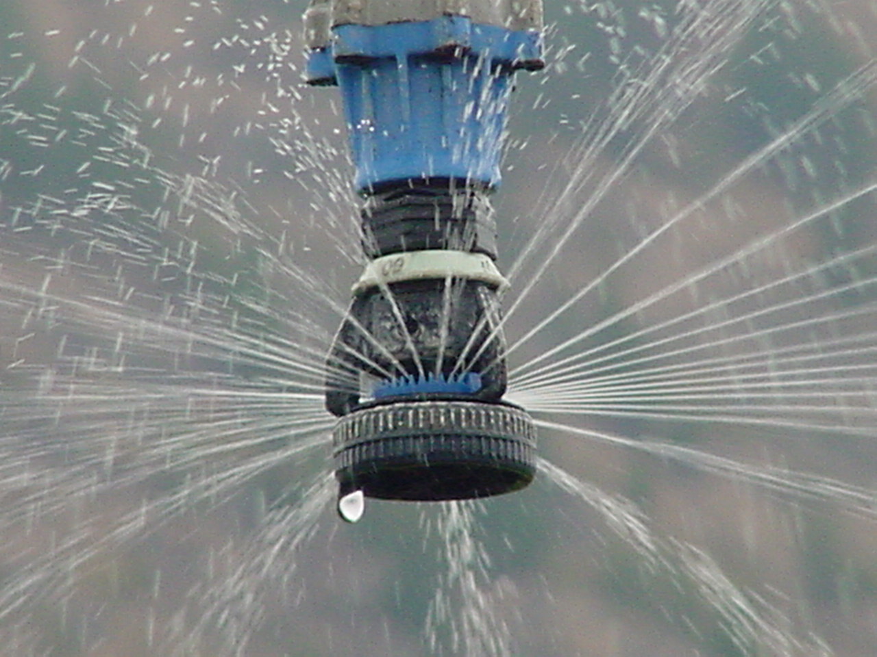 sprinkler head